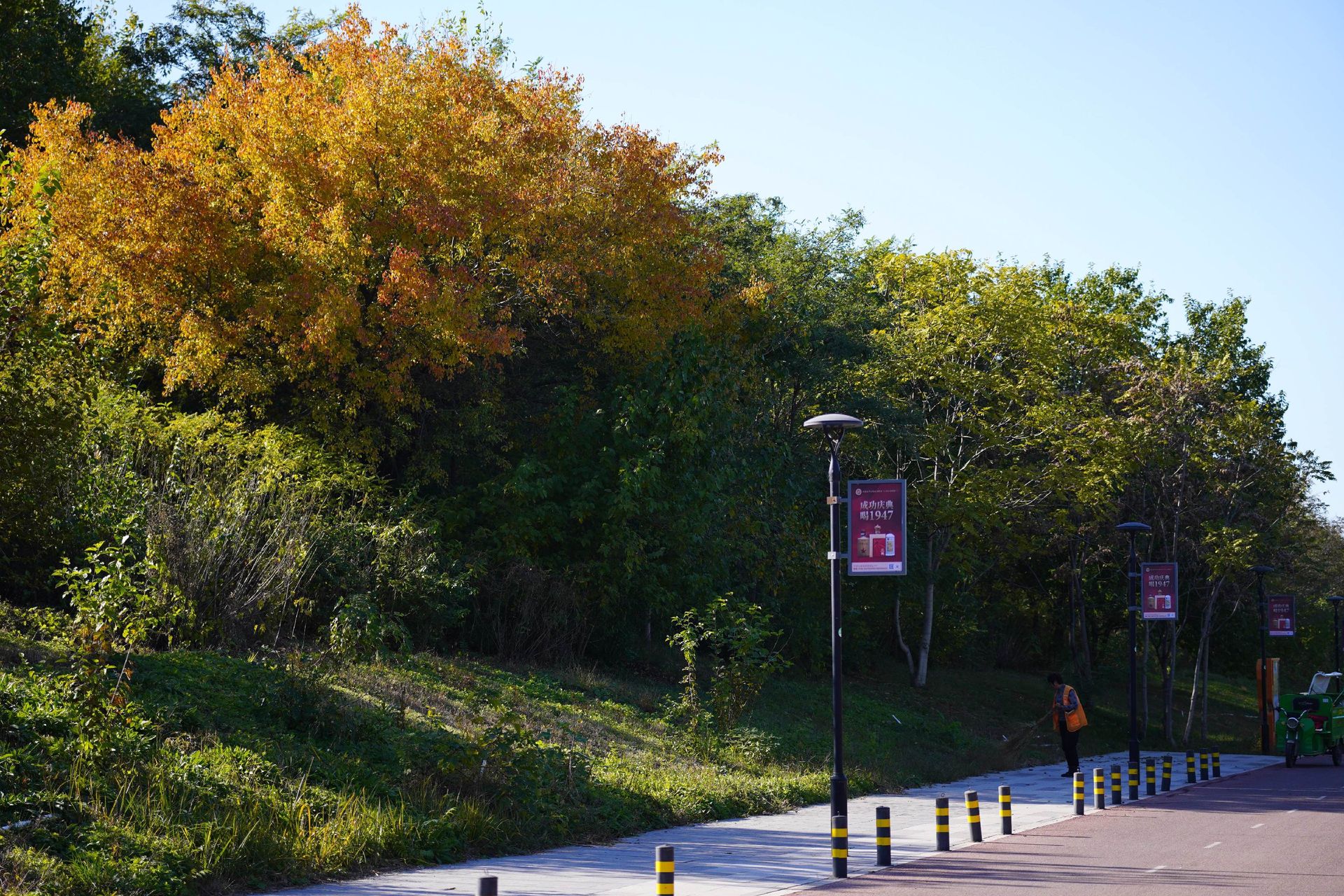 今天风景很不错