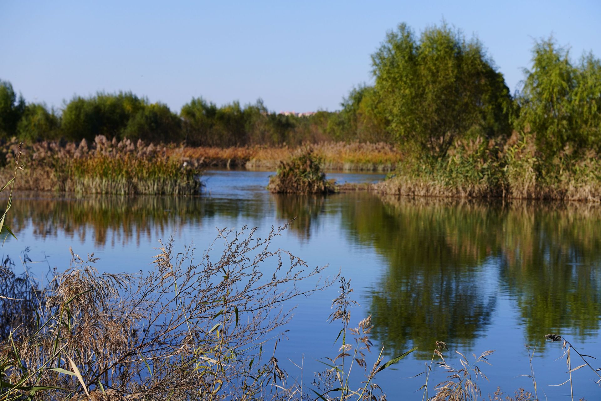 经验告诉我这里有黑鱼