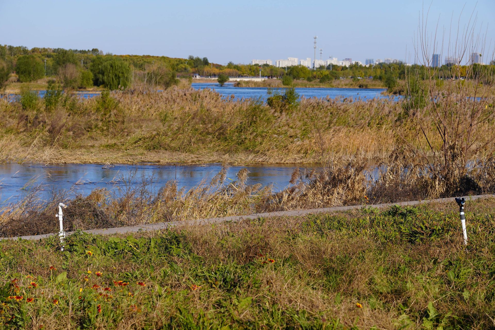 这里很适合钓鱼
